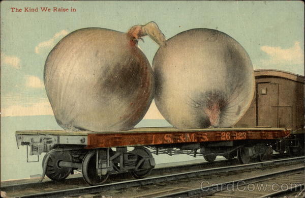 Huge onions on train's flat car Exaggeration