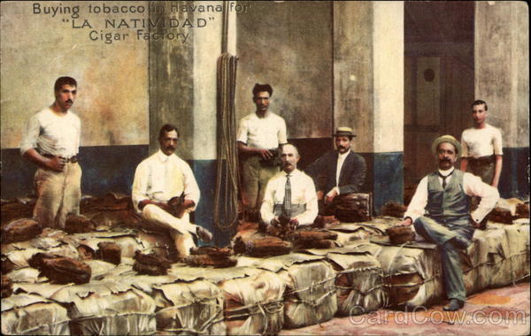 Men stand and site near bales of tobacco
