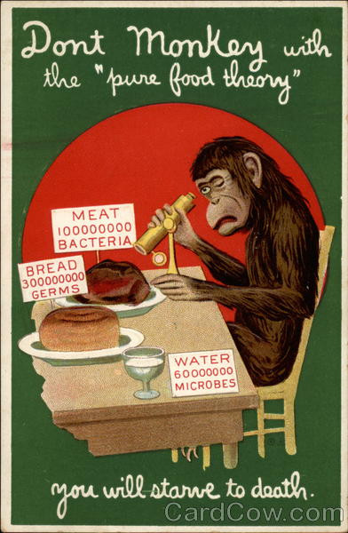 Monkey sitting at a table inspects his food with a scope