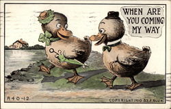 Couple of ducks Postcard