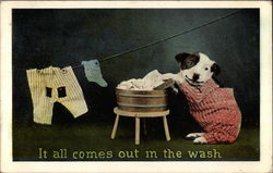 It all comes out in the wash Postcard