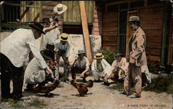 Group of men watch a cock fight Group of men watch a cock fight