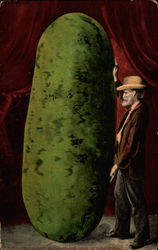 This is how watermelons grow in California This is how watermelons grow in California