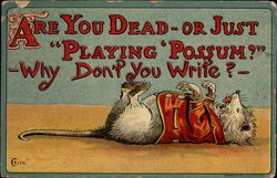 Are you dead - or just "playing possum?" Postcard