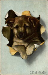 Stock #236305 Thumbnail