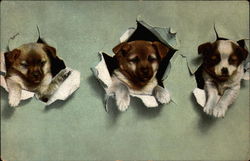 Stock #236413 Thumbnail