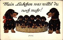 Mein liebhen nas nillst du noch mehr! Mein liebhen nas nillst du noch mehr!