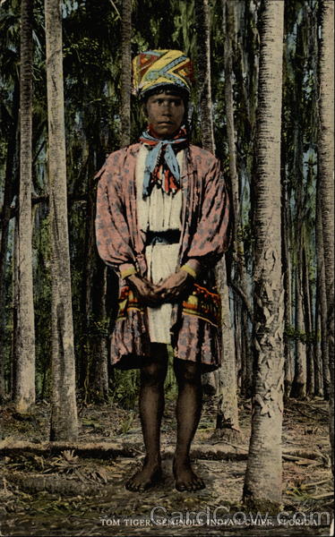Tom Tiger, Seminole Indian Chief Florida Native Americana