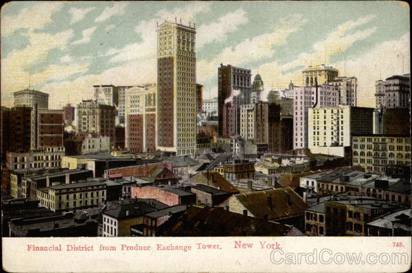 Financial District from Produce Exchange Tower New York