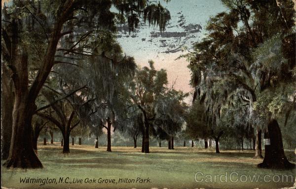 Live Oak Grove, Hilton Park Wilmington North Carolina