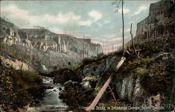 Scene in Spearfish Canyon South Dakota