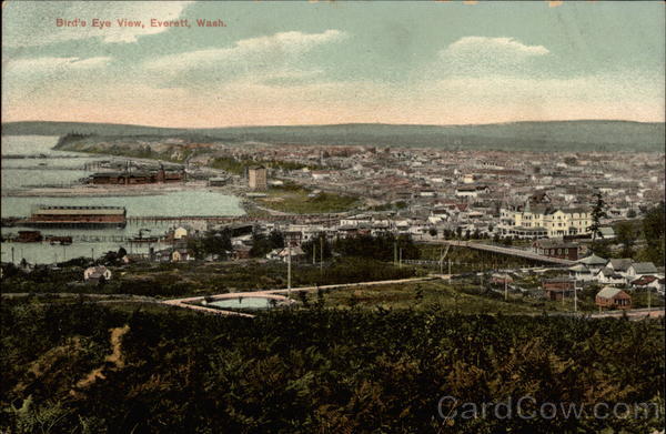 Bird's Eye VIew Everett Washington