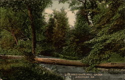 Log Ford Over Mill Creek Postcard