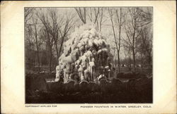 Pioneer Fountain in Winter Postcard