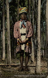Tom Tiger, Seminole Indian Chief Florida Native Americana Postcard Postcard