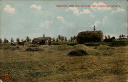 Timothy and Red Clover Field Scenic, ND Postcard Postcard