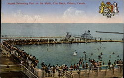 Largest Swimming Pool on the World Postcard