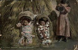 Indian Papoose. Born in California Postcard