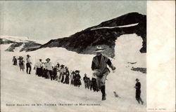 Snow Balling on Mt. Tacoma (Rainier) in Mid-Summer Postcard