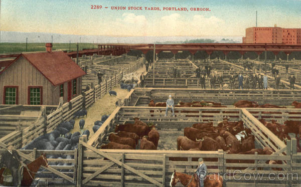 Union Stock Yards Portland Oregon