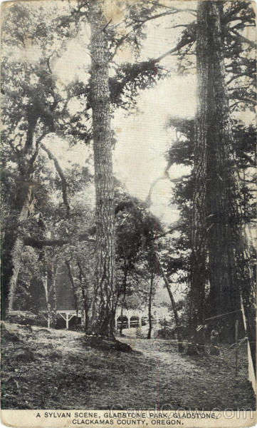 A Sylvan Scene, Gladstone Park Oregon