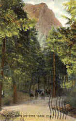 Stock #21990 Thumbnail