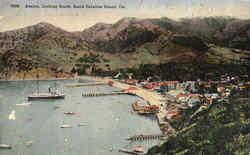 Avalon, Looking South Postcard