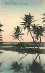 Cocoanut Lagoon Postcard
