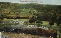 Goat Ranch South West Texas Goats Postcard Postcard