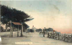 Santa Monica Postcard