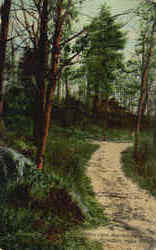 Lovers' Lane, Hopedale Park Massachusetts Postcard Postcard