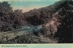 River Road Scene Jackson, MN Postcard Postcard