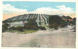 View of a Vinyard (Nappa?) Scenic, CA Postcard Postcard