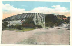 View of a Vinyard (Nappa?) Postcard
