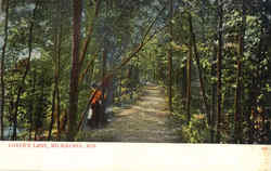 Lovers' Lane Postcard