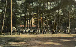 The Grove, Lake Pearl Wrentham, MA Postcard Postcard