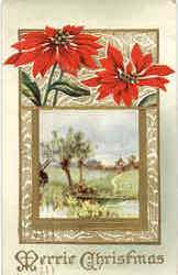 Merrie Christmas Postcard Postcard