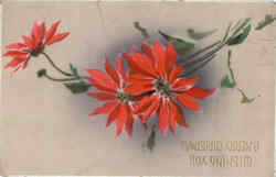 Wishing You A Merry Christmas Postcard