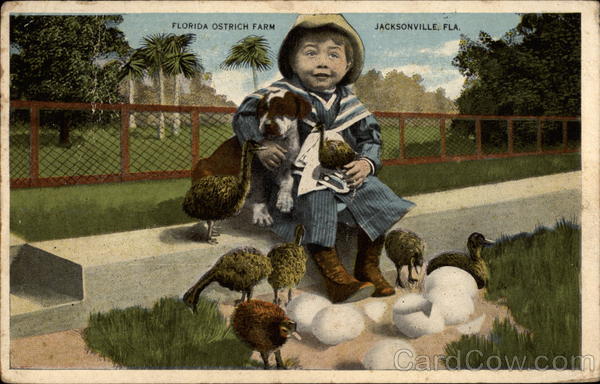 Florida ostrich farm Jacksonville