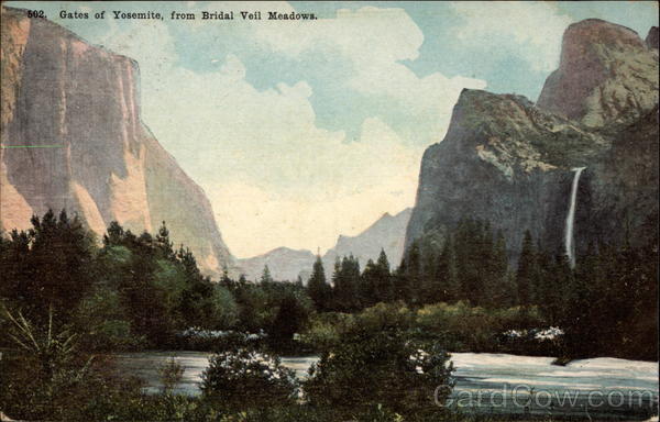 502. Gates of Yosemite, from Bridal Veil Meadows California