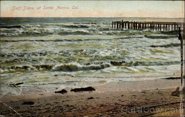 Surf Scene Santa Monica California