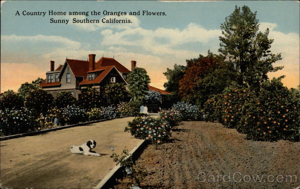 A Country Home Amoung the Oranges and Flowers California