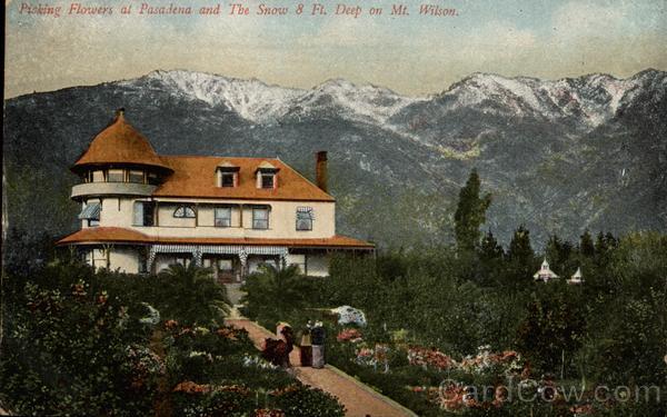 Picking flowers at Pasadena California