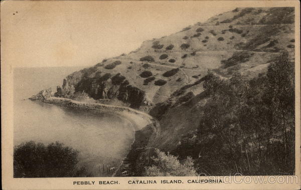 Pebbly Beach Santa Catalina Island California