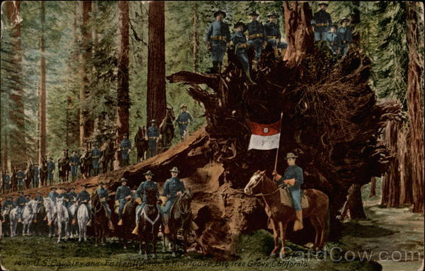 US Cavelry and fallen tree, Mariposa Big Tree Grove Fish Camp California