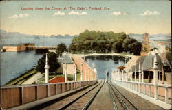Looking down the 'Chutes at "The Oaks" Postcard
