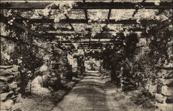 Rose Arbor, Sarah Lawrence College Postcard