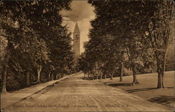 Central Avenue looking North, Cornell University Campus Postcard
