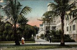 Entrance and gardens, Royal Poinciana Postcard
