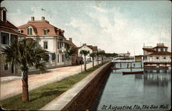 The Sea Wall Postcard